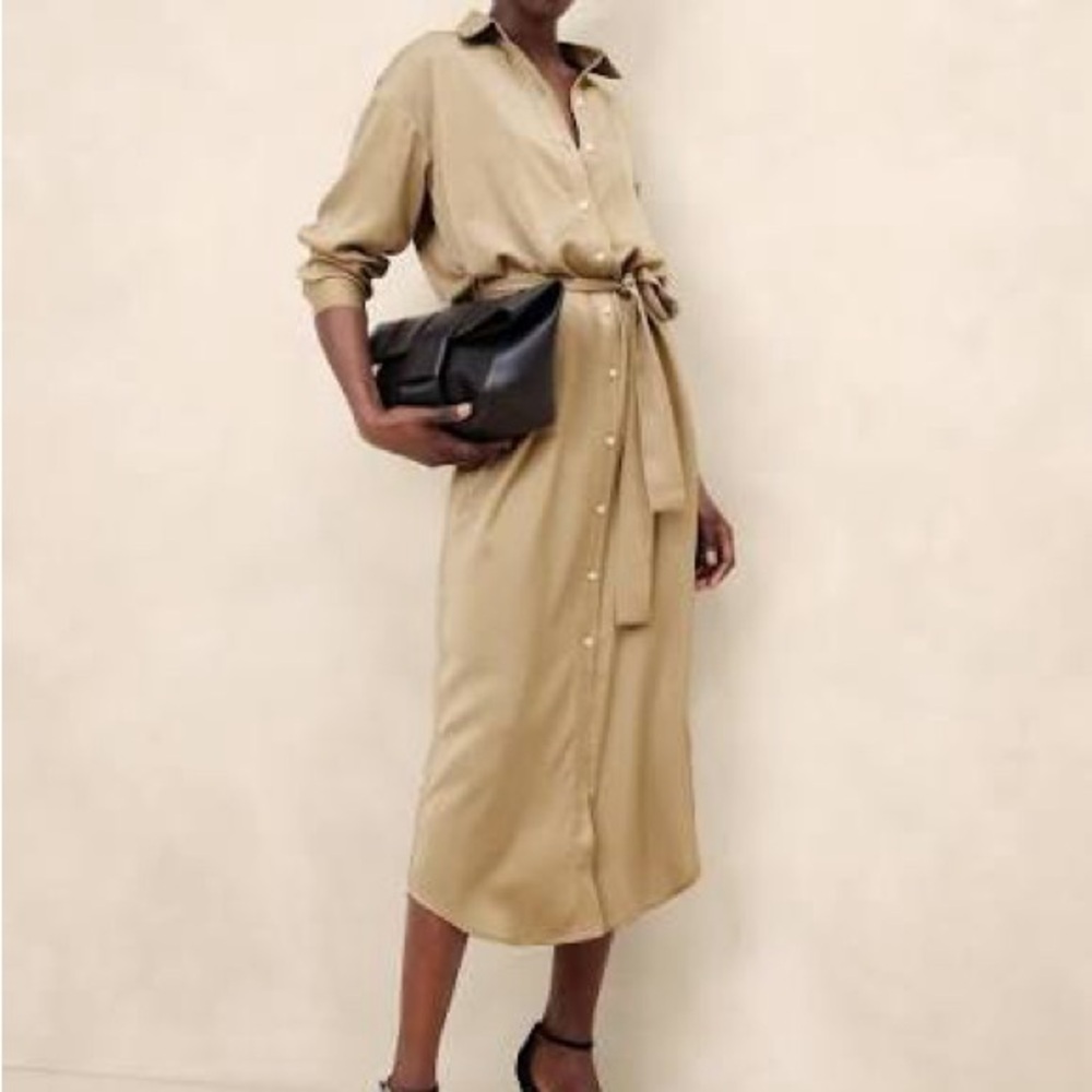 Banana Republic Long Sleeve Tan Dress